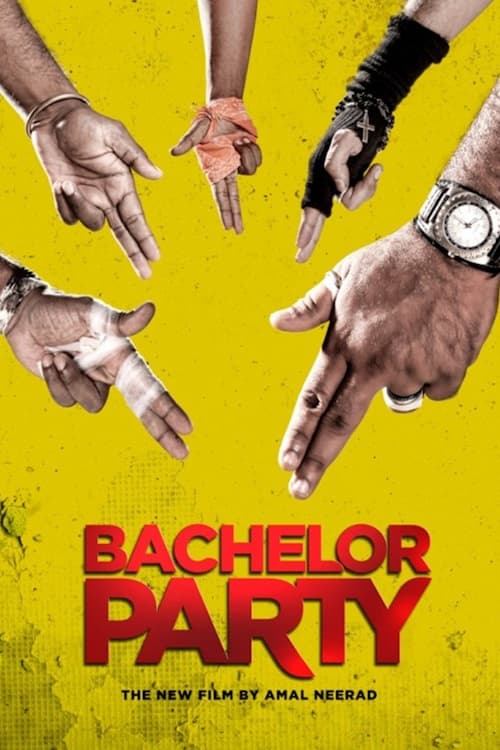 Bachelor Party (2012)