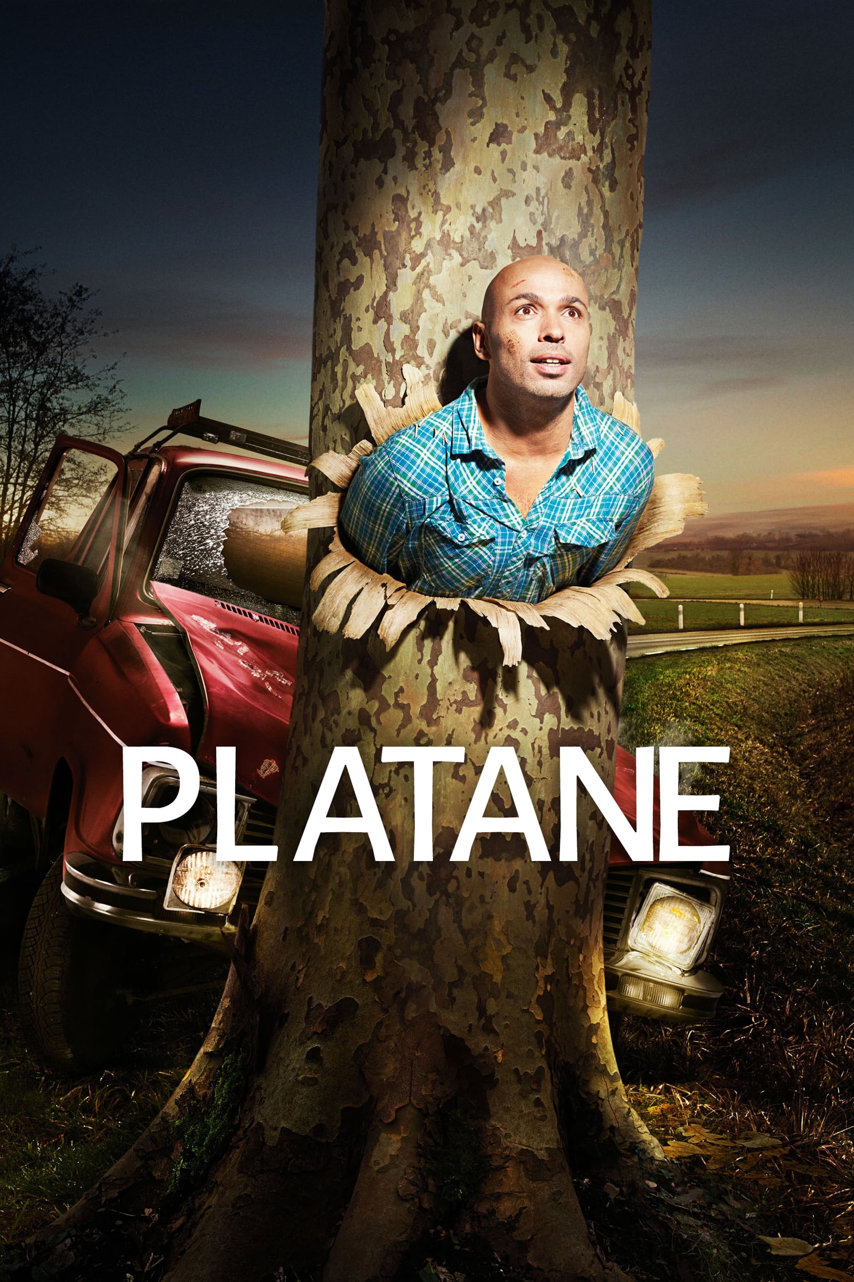 Platane (2011)