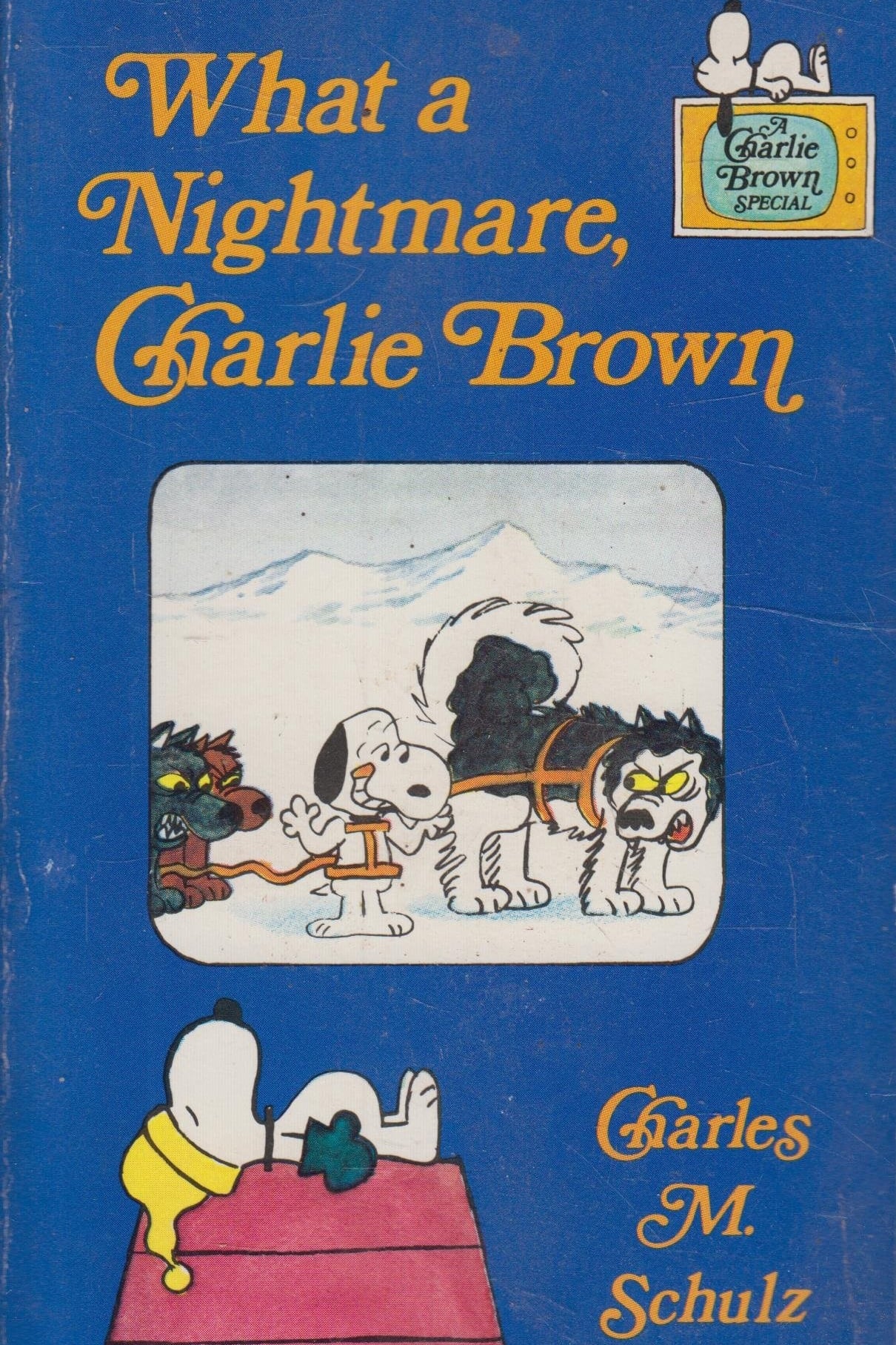 What a Nightmare, Charlie Brown (1978)