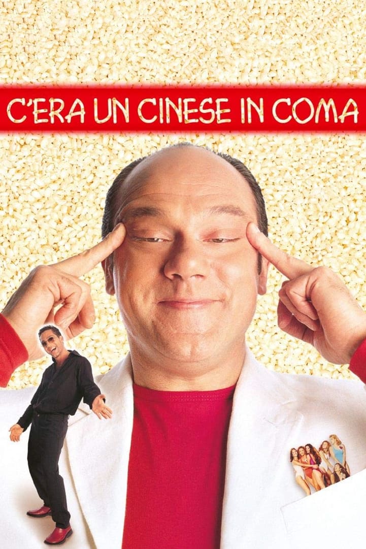 A Chinese in a Coma (2000)