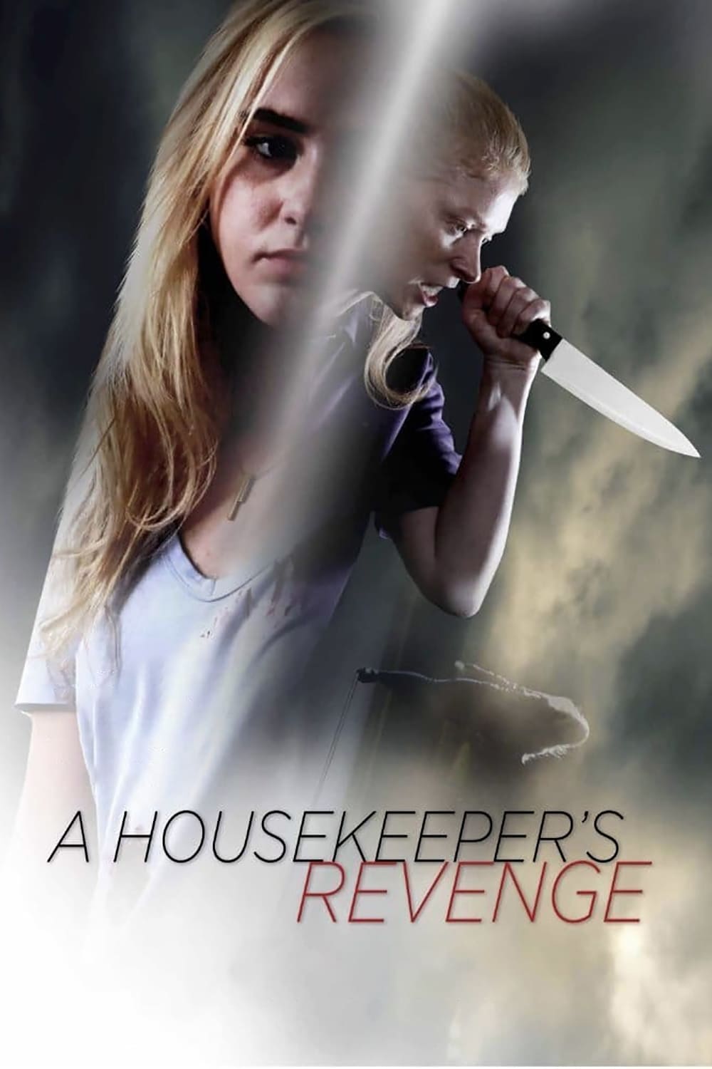 A Housekeeper's Revenge (2016)