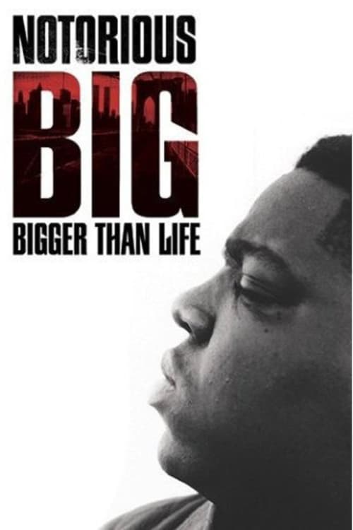Notorious B.I.G.: Bigger Than Life (2007)
