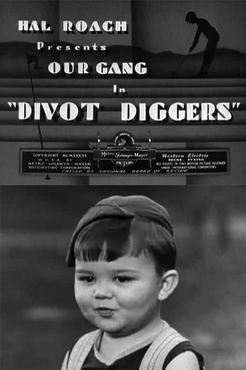 Divot Diggers