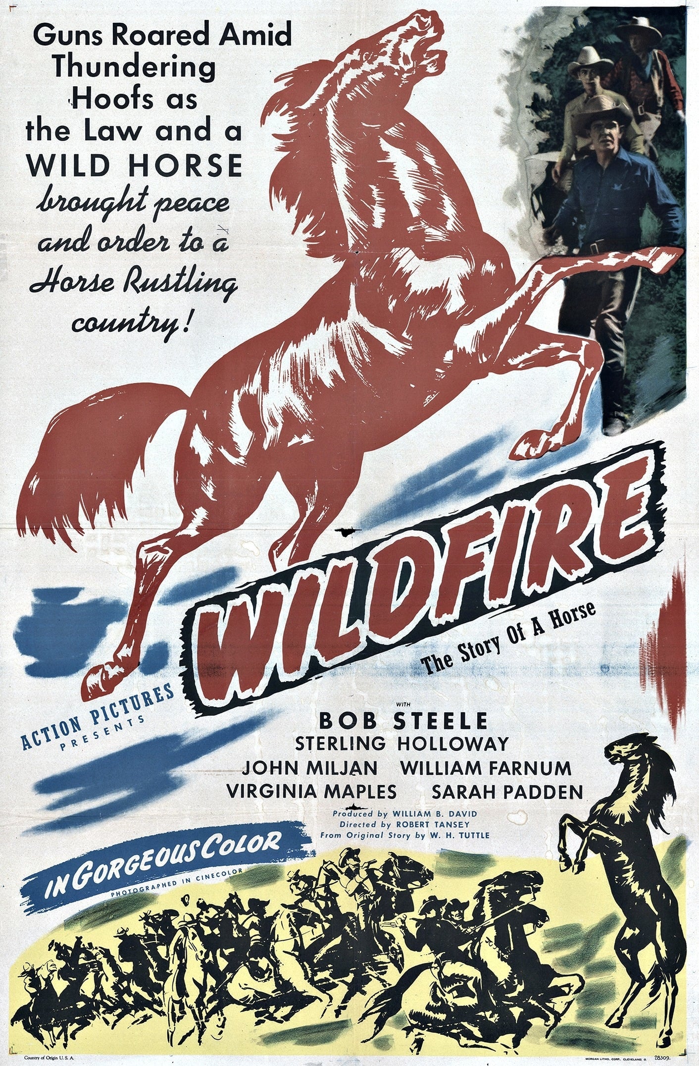 Wildfire (1945)