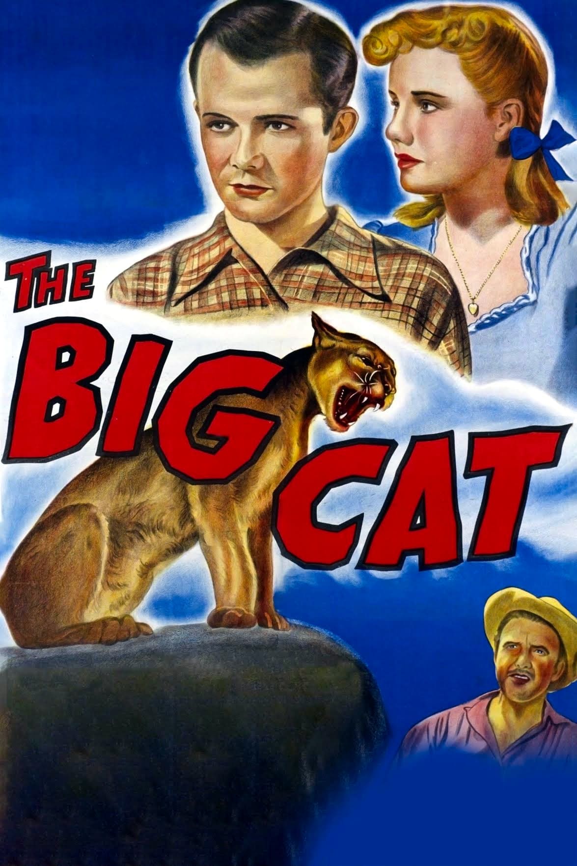 The Big Cat
