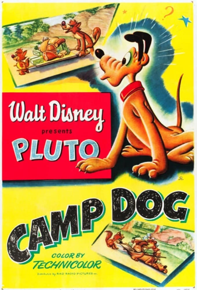 Camp Dog