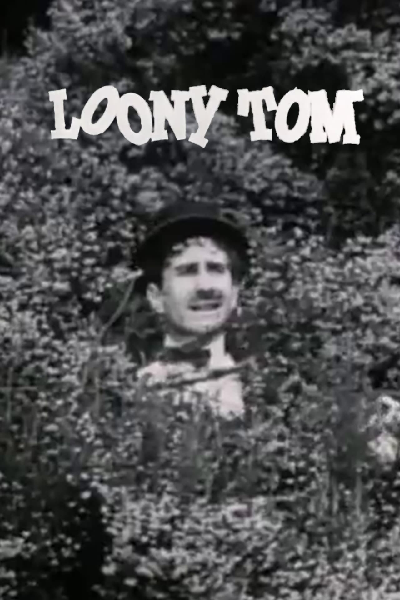 Loony Tom the Happy Lover