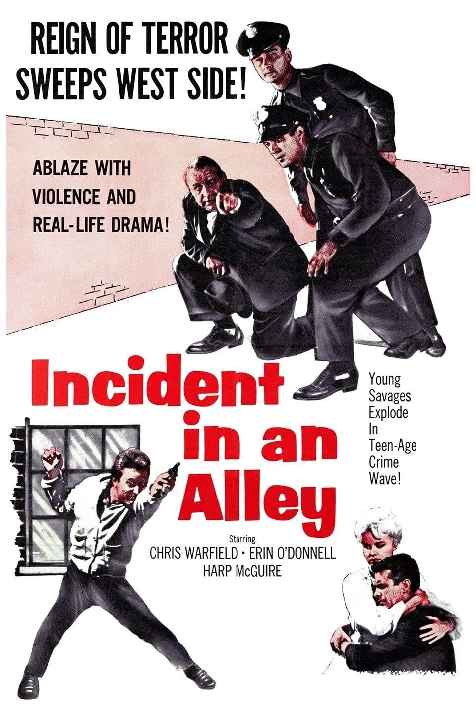 Incident in an Alley