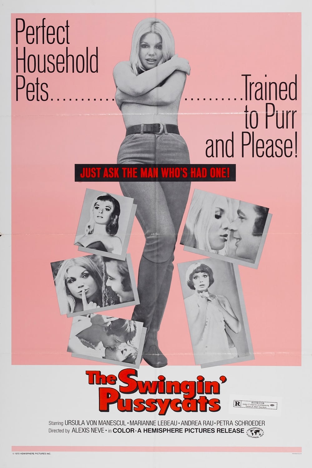 The Swingin' Pussycats (1969)