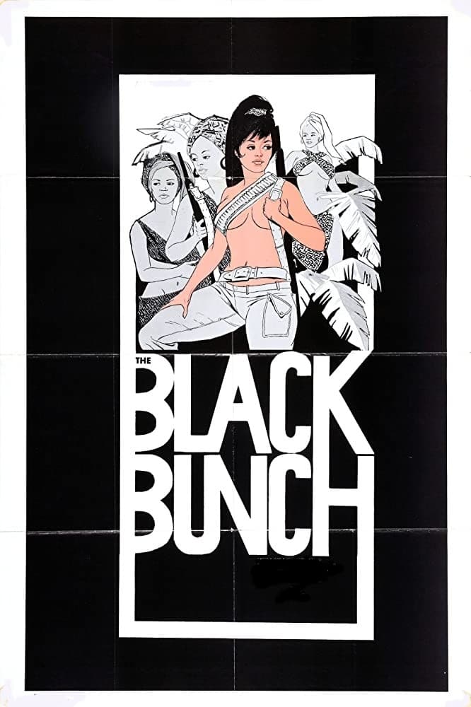 The Black Bunch (1973)