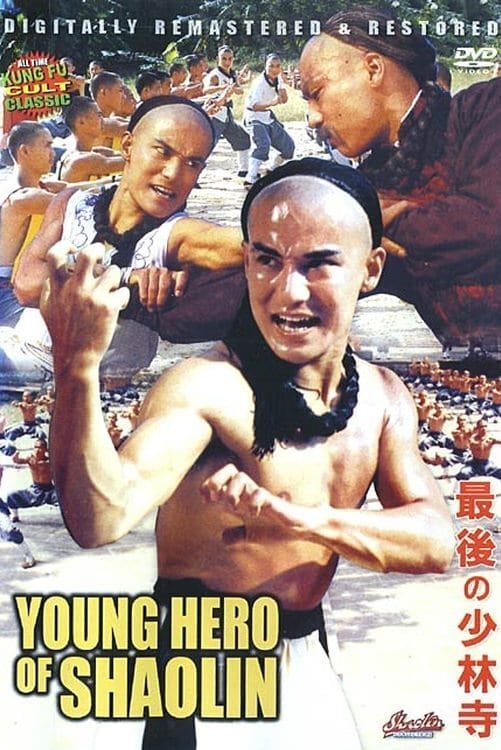 The Young Hero of Shaolin (1984)