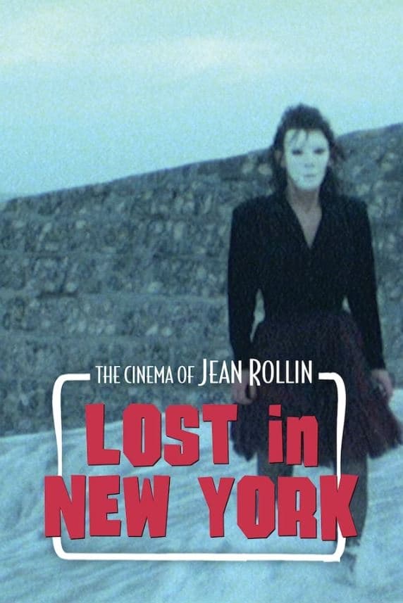 Lost in New York