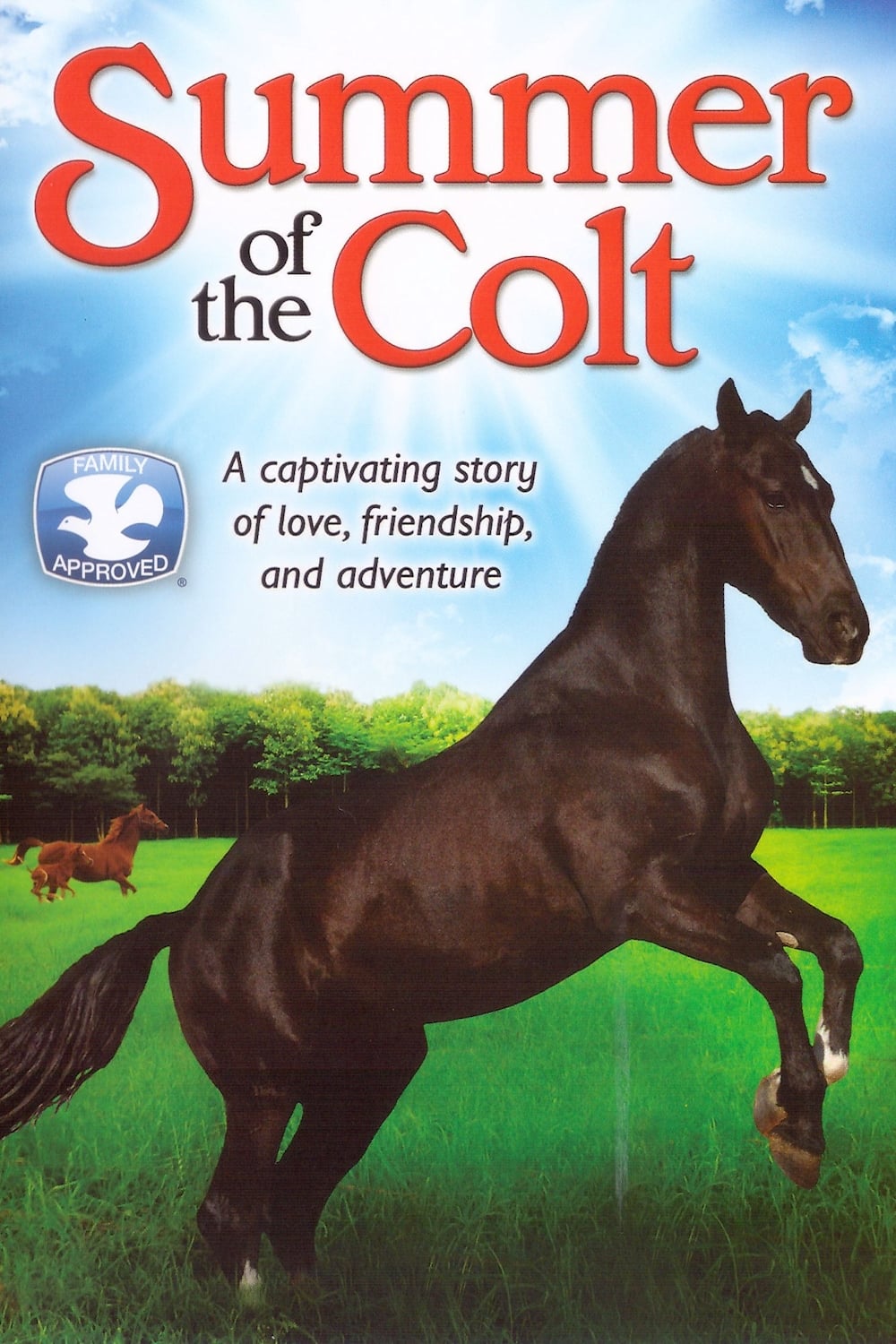 Summer of the Colt