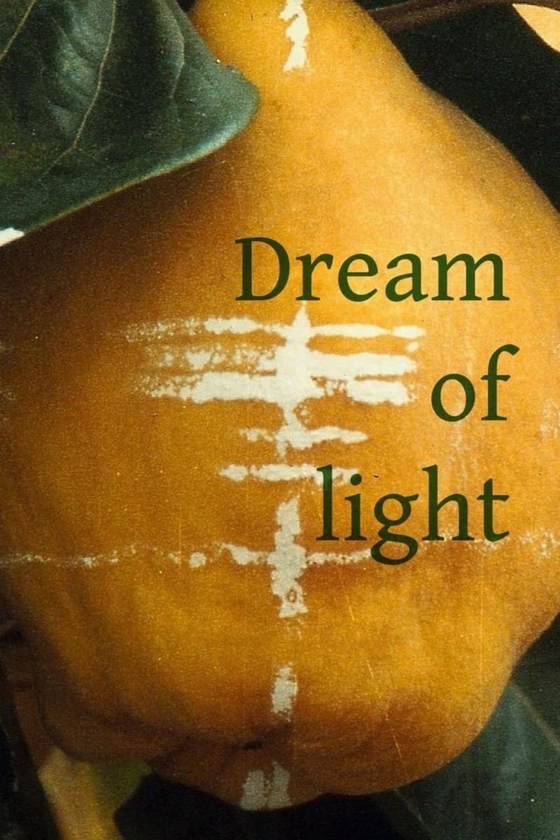 Dream of Light