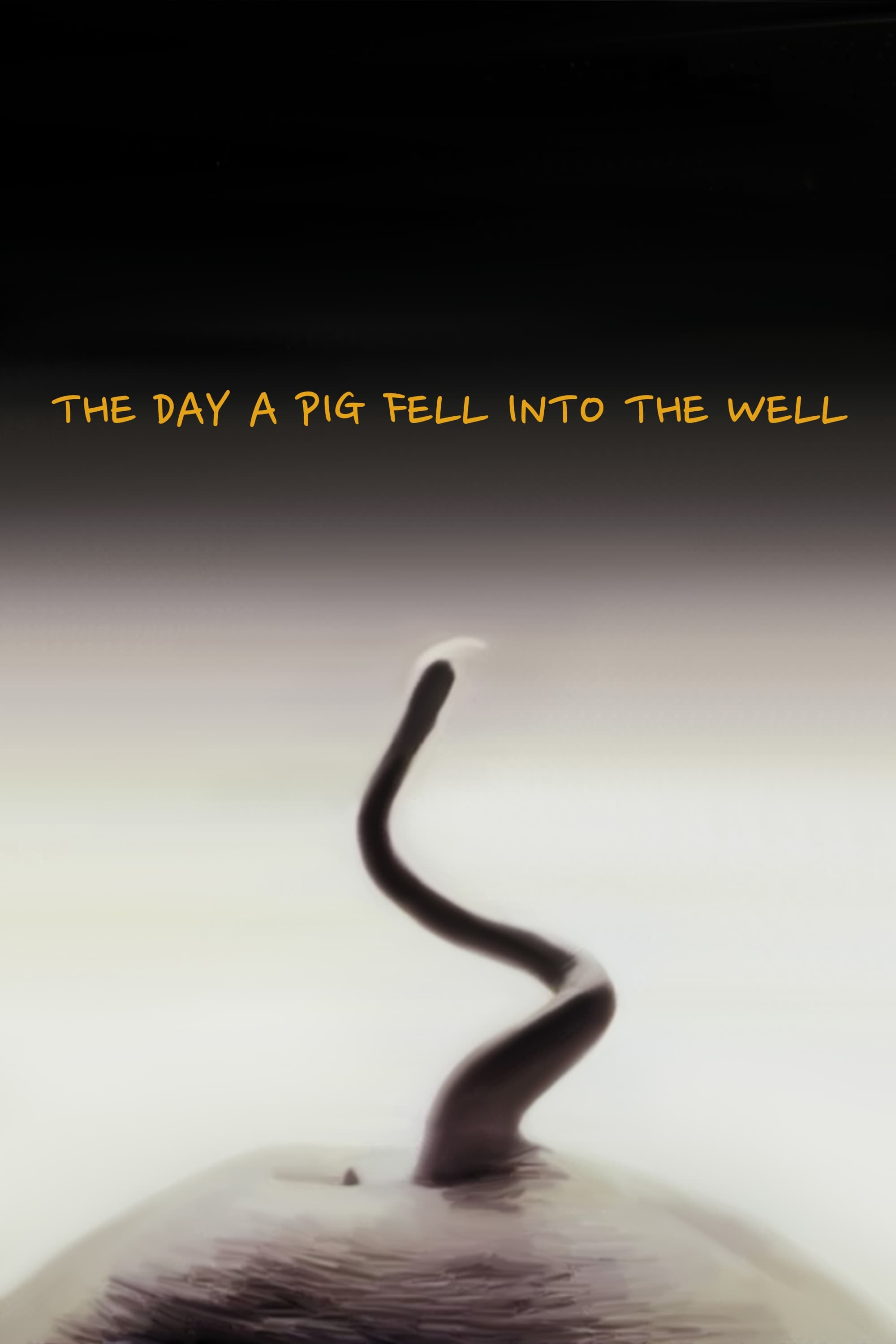 The Day a Pig Fell Into the Well (1996)