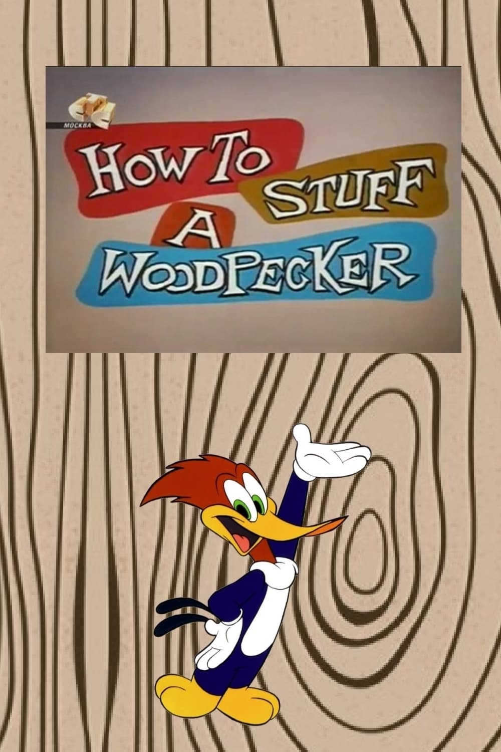 How to Stuff a Woodpecker (1960)