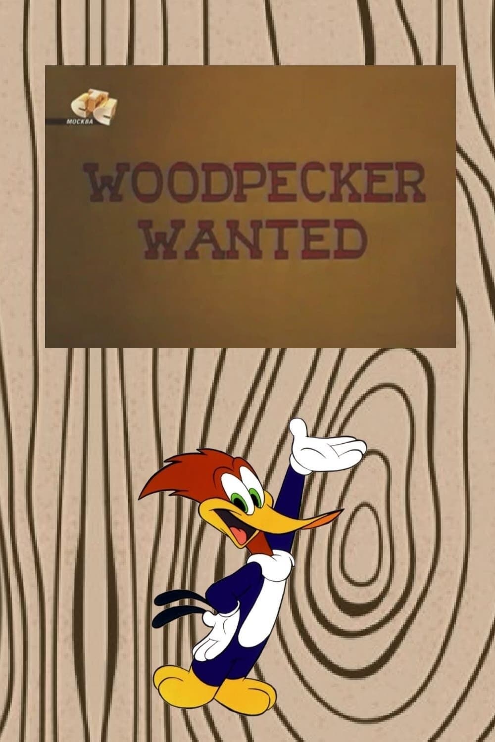 Woodpecker Wanted (1965)