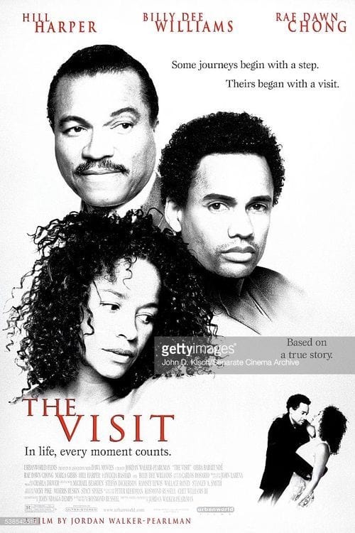 The Visit (2001)