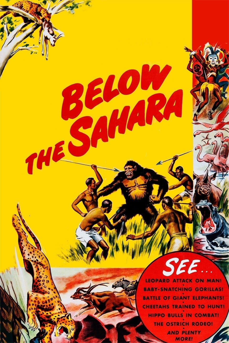 Below the Sahara (1953)