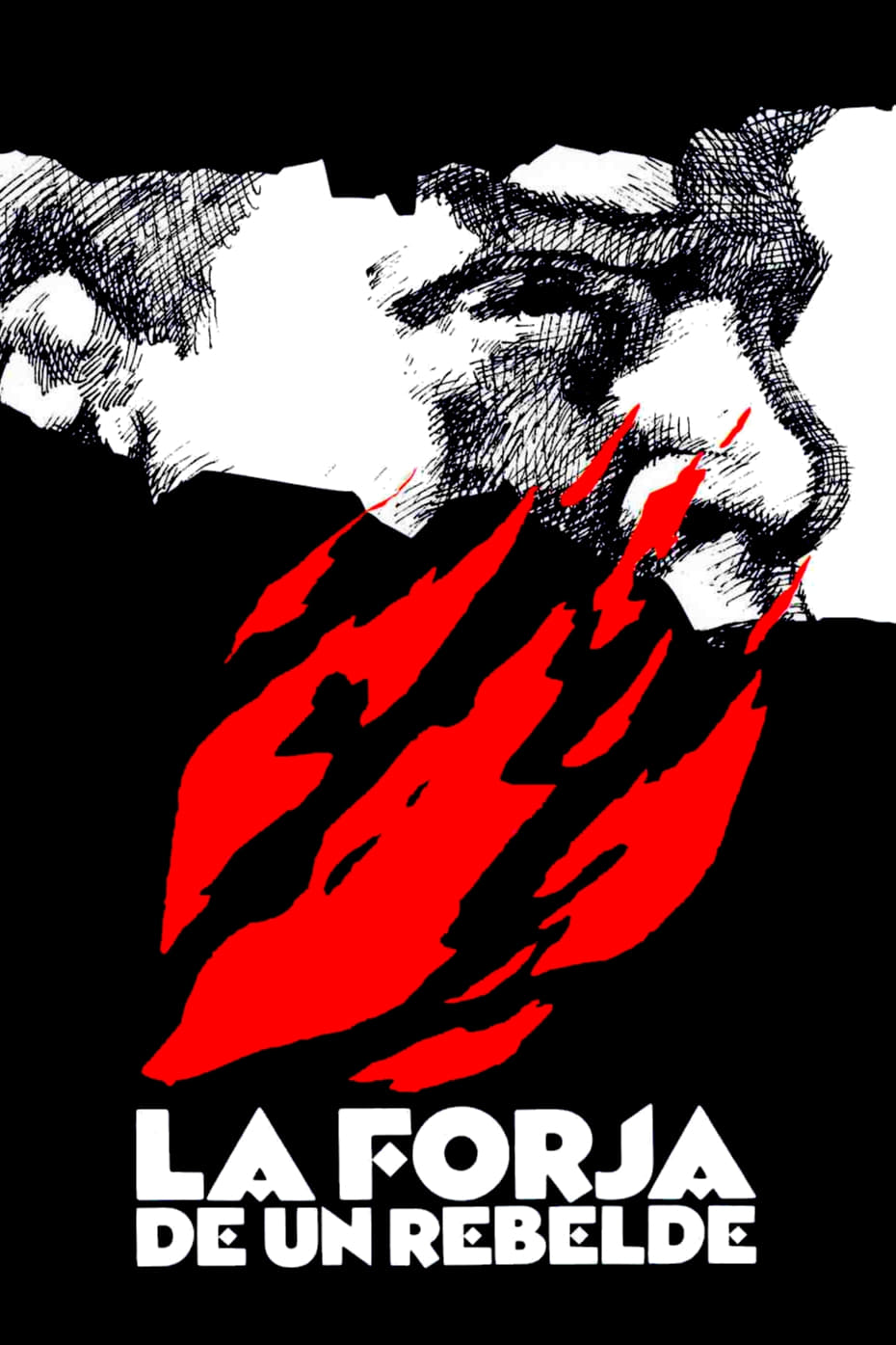 La Forja de un Rebelde (1990)