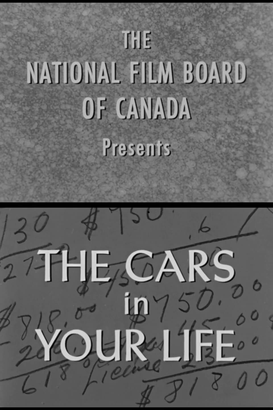 The Cars in Your Life