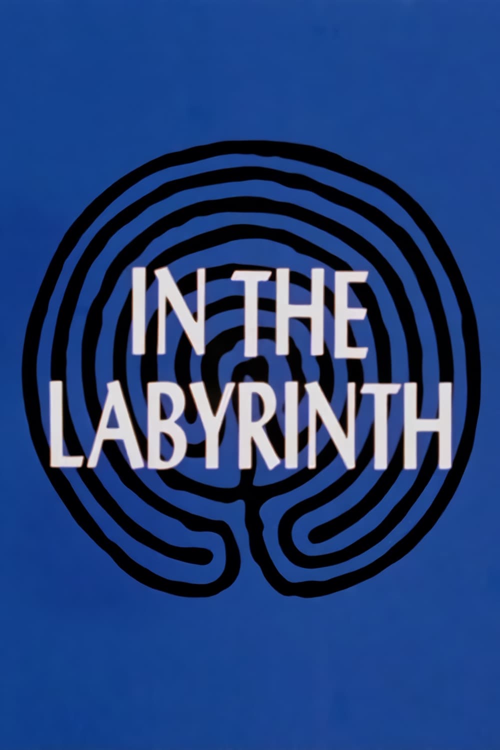 In the Labyrinth