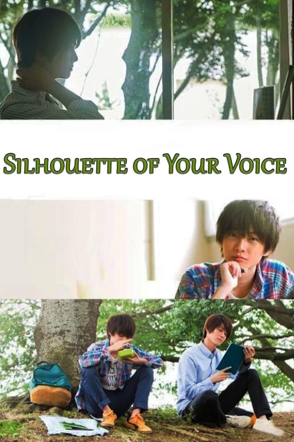 Silhouette of Your Voice (2017)
