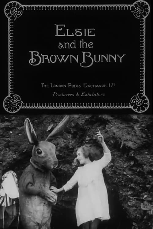 Elsie and the Brown Bunny