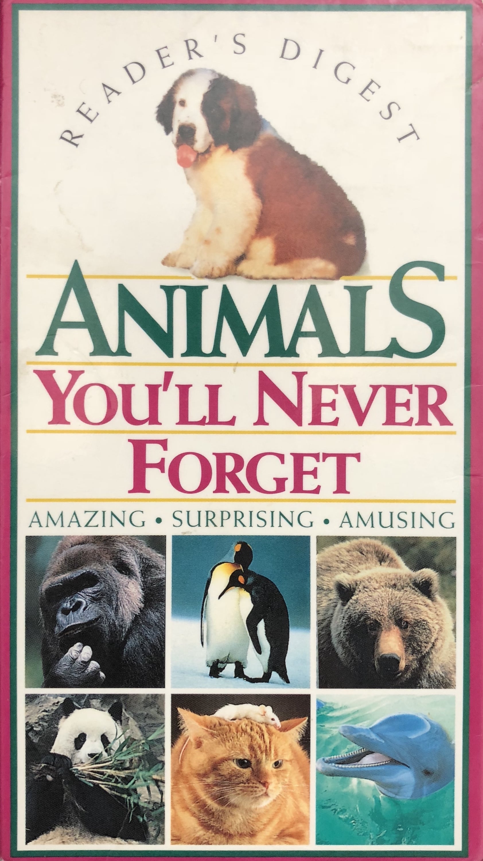 Animals You'll Never Forget