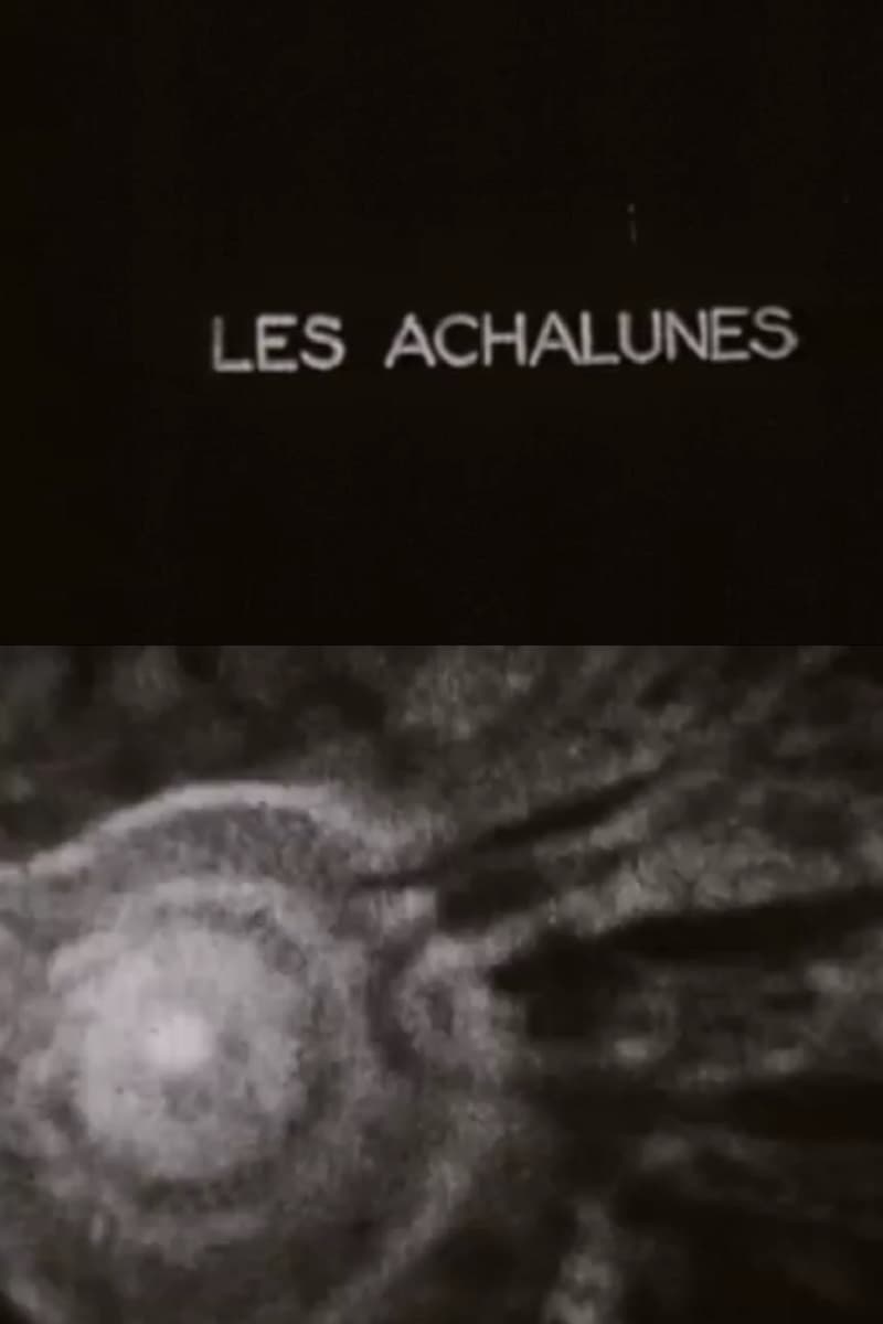 The Achalunés