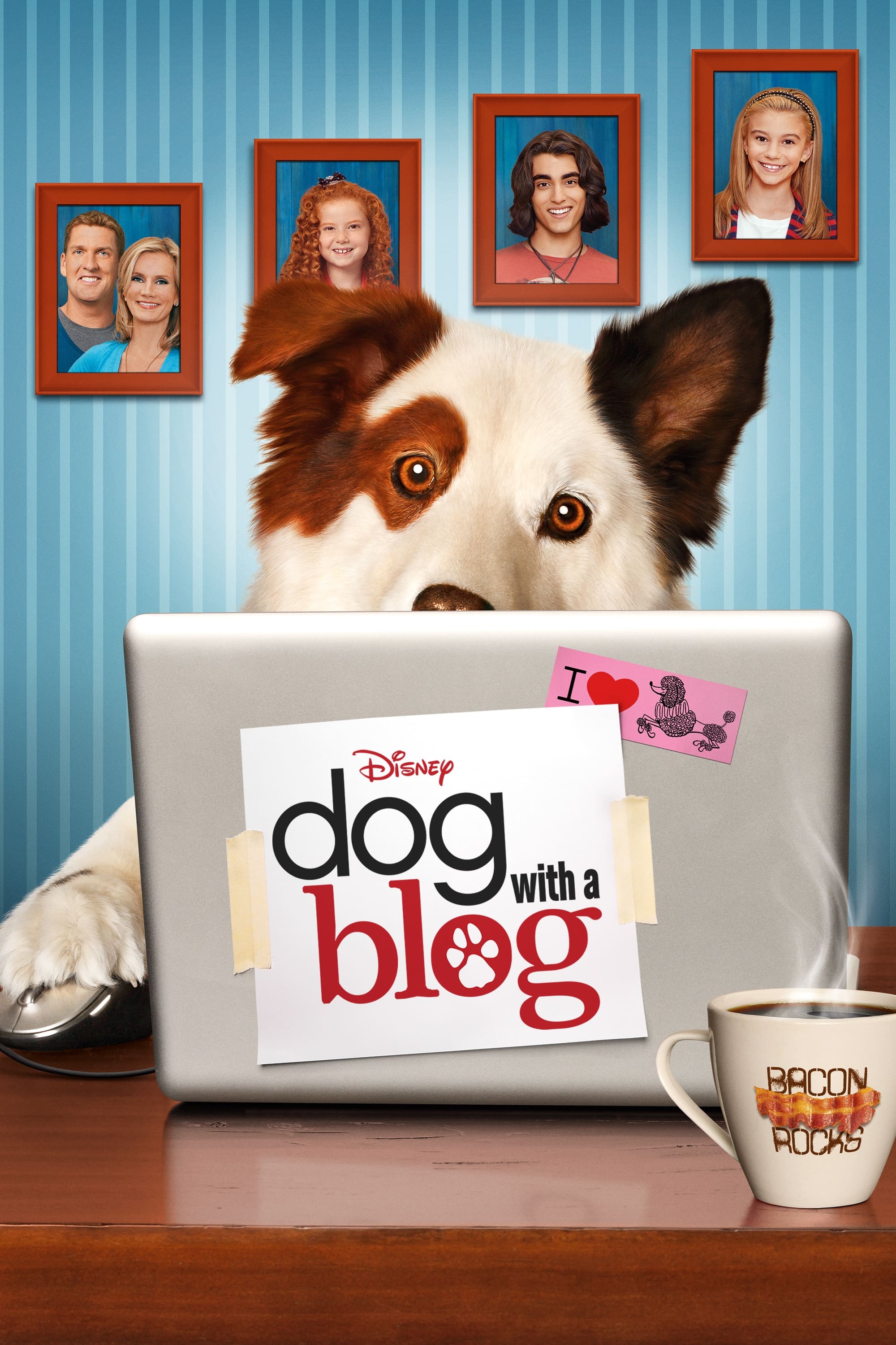 Hund mit Blog (2012)
