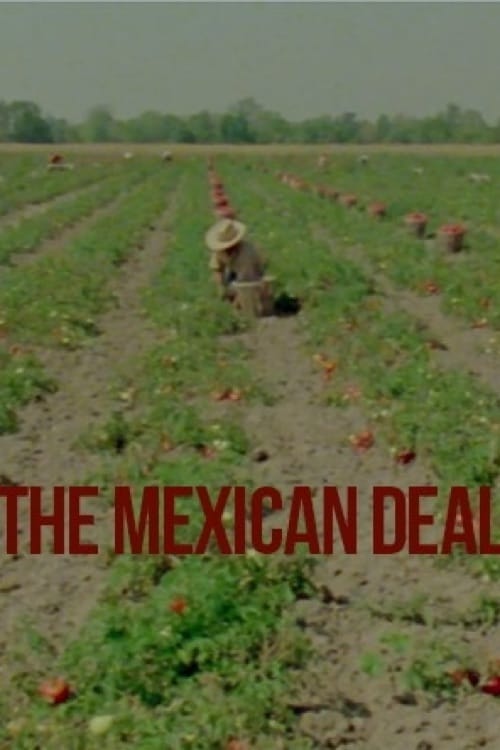 Le Deal mexicain