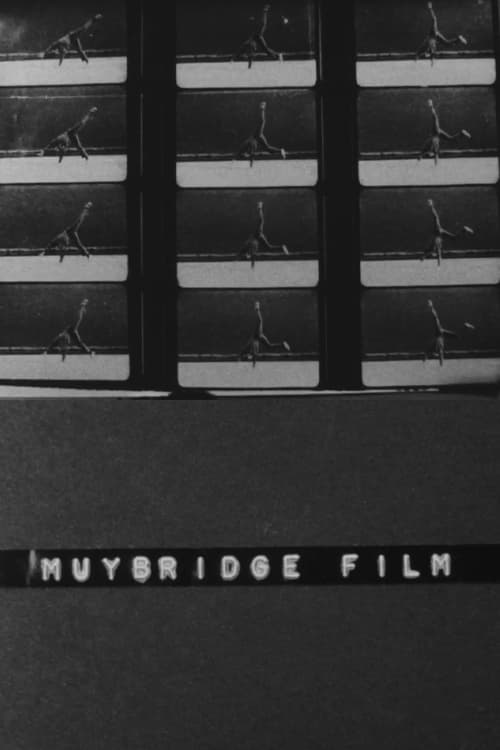 Muybridge Film