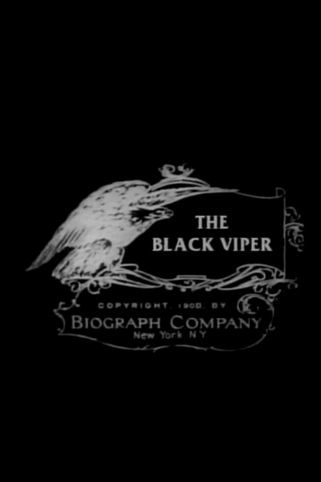 The Black Viper (1908)