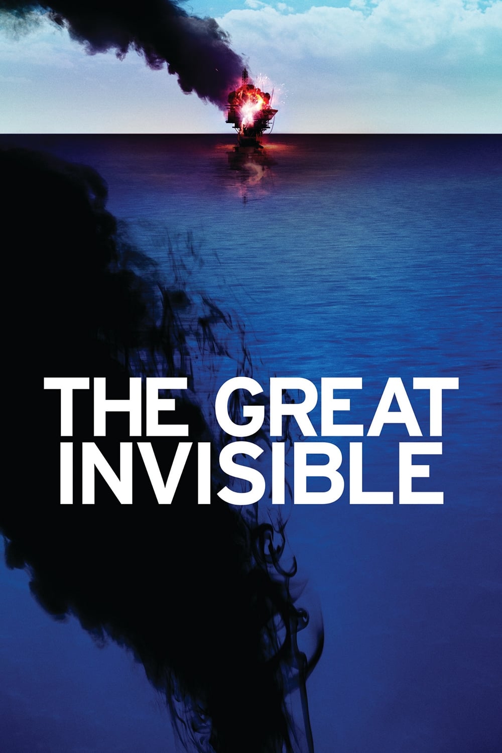 The Great Invisible (2014)