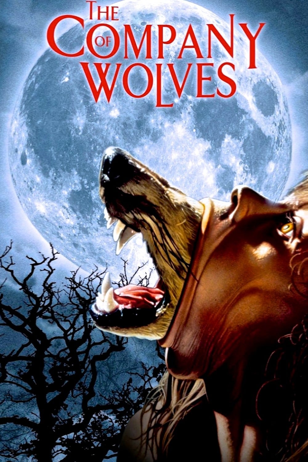 A Companhia dos Lobos (1984)