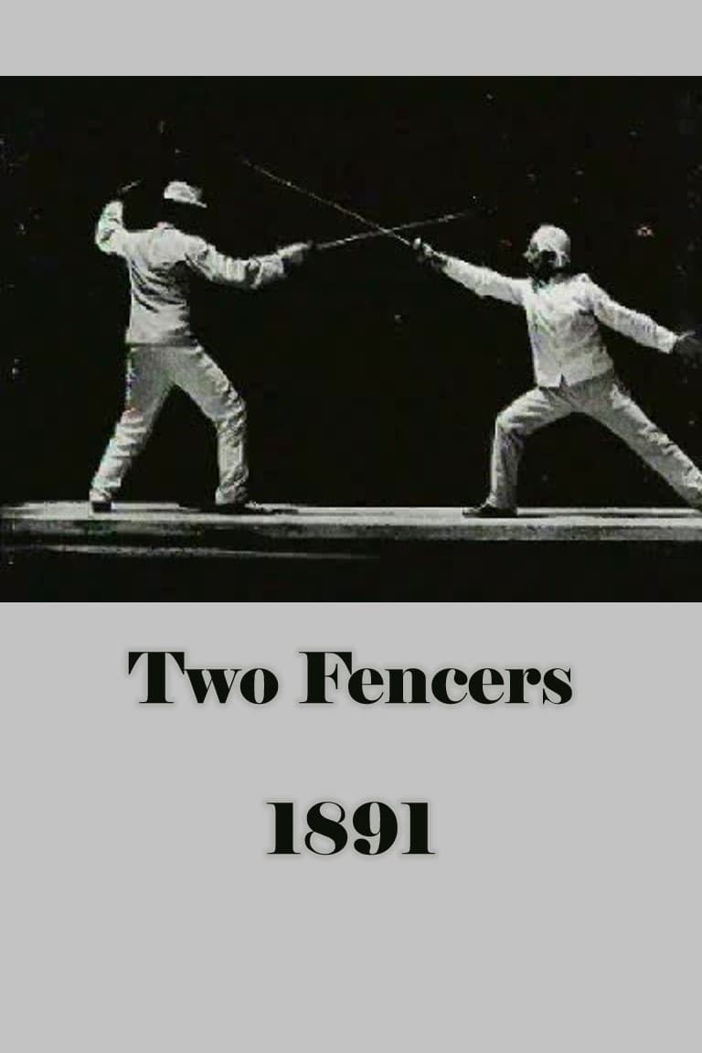 Two Fencers