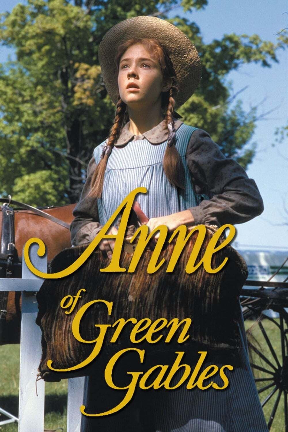 Os Amores de Anne (1985)