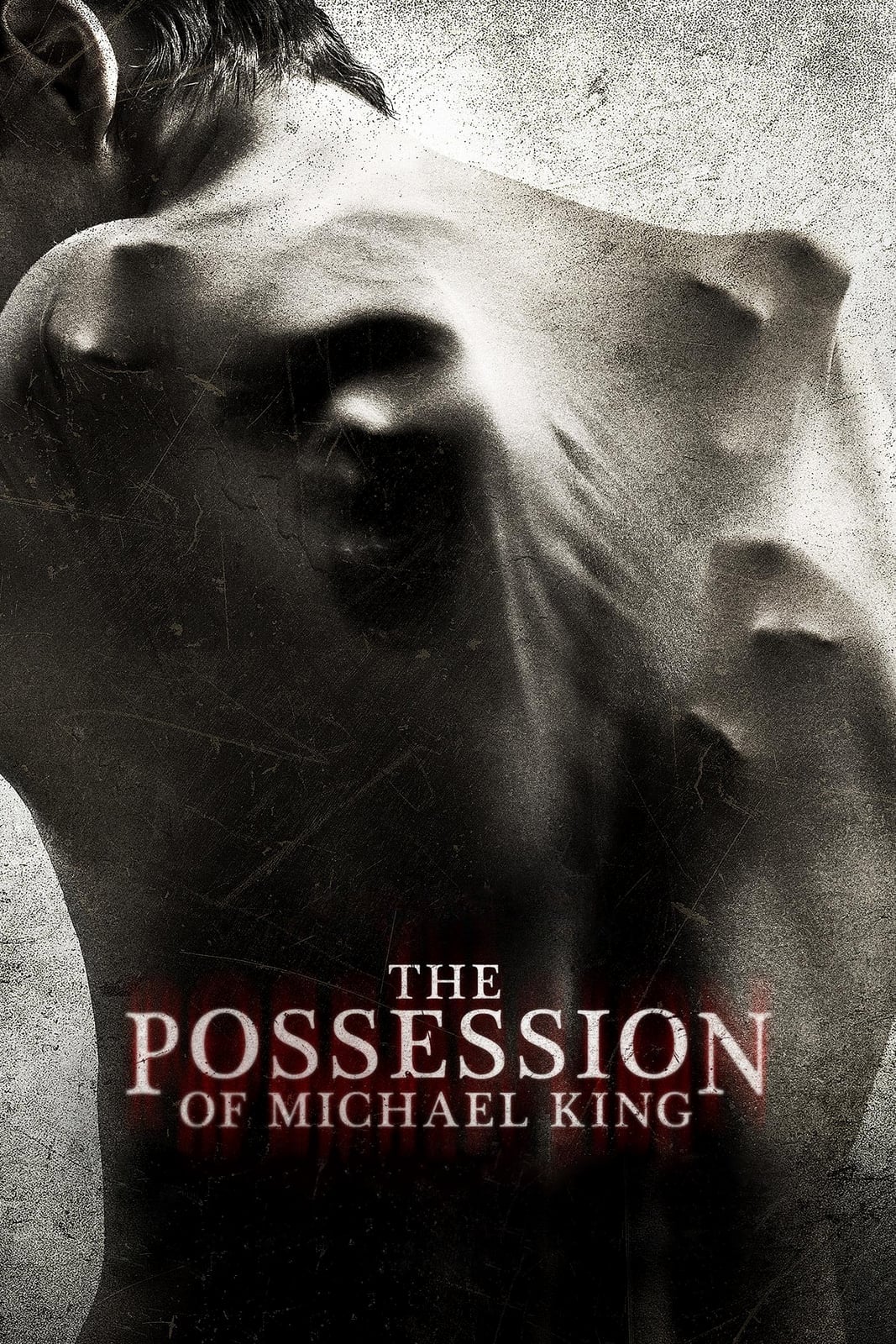 A Possessão do Mal (2014)