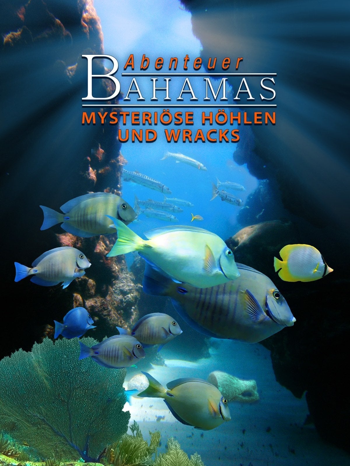 Adventure Bahamas 3D - Mysterious Caves And Wrecks