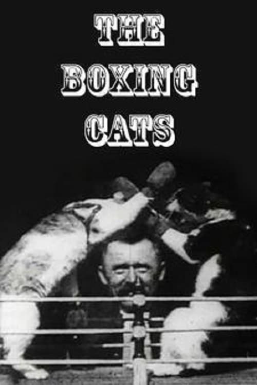 The Boxing Cats (1894)