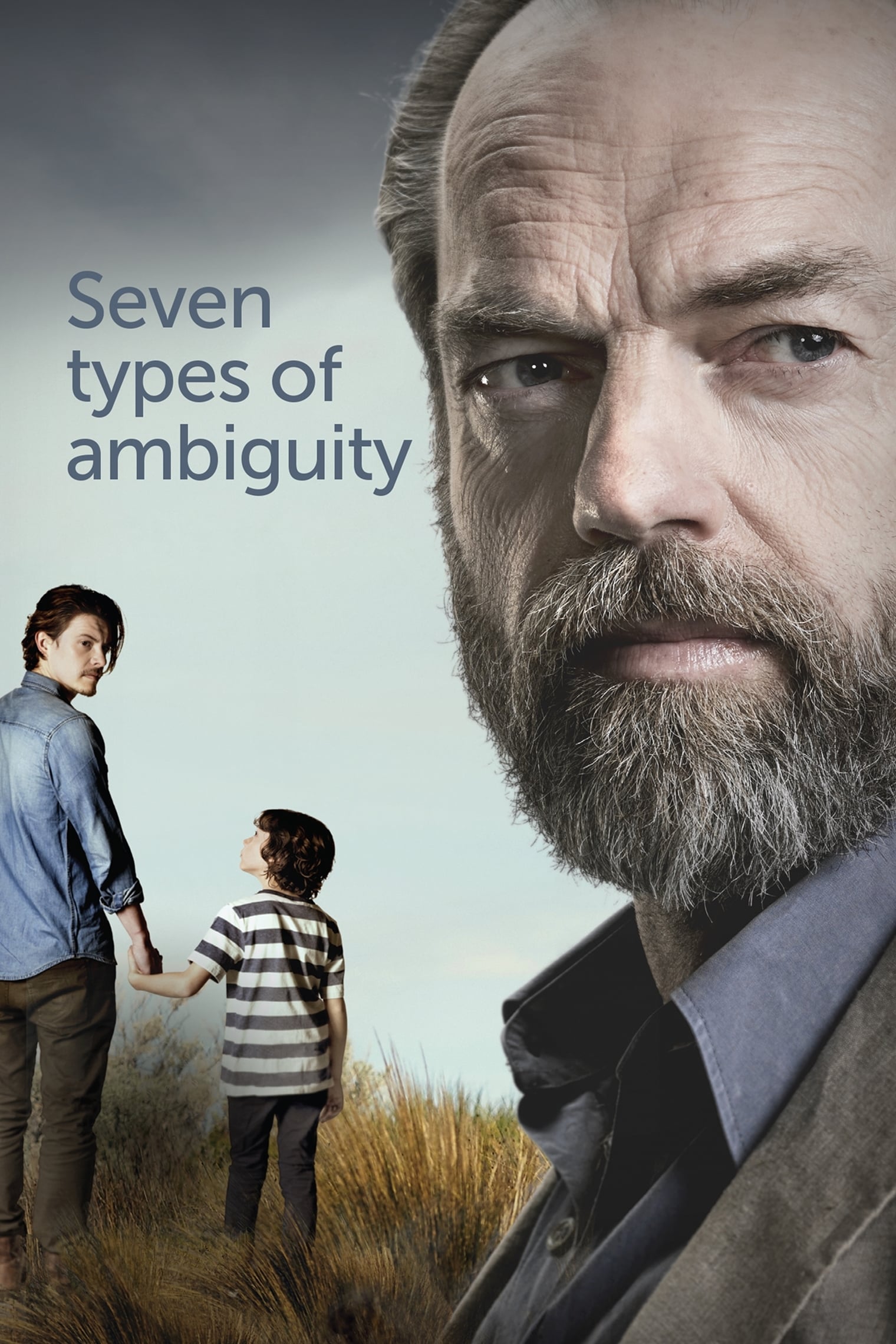 Seven Types of Ambiguity (2017)