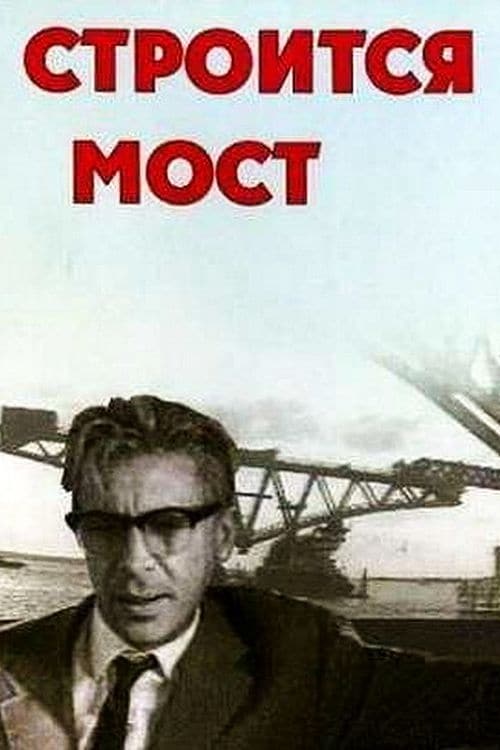 Строится мост (1966)