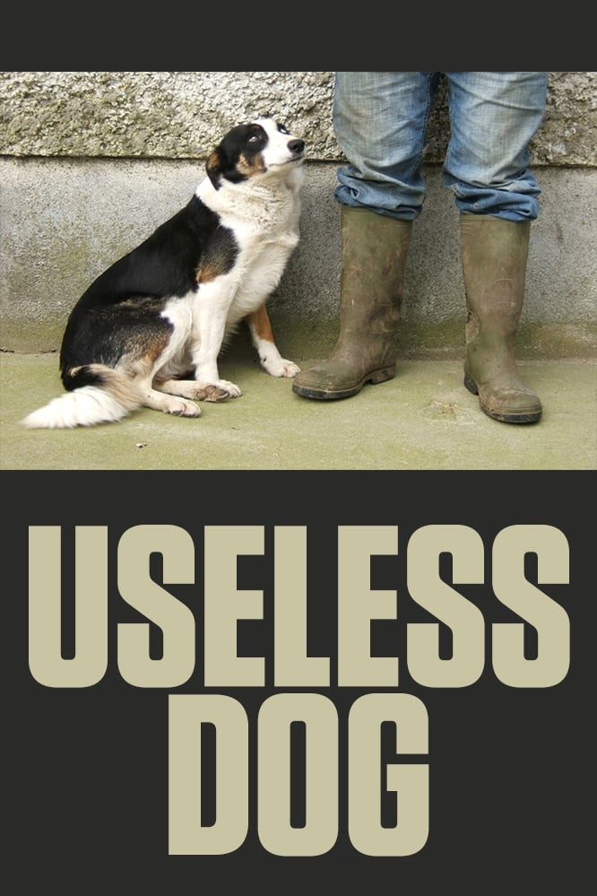 Useless Dog (2004)