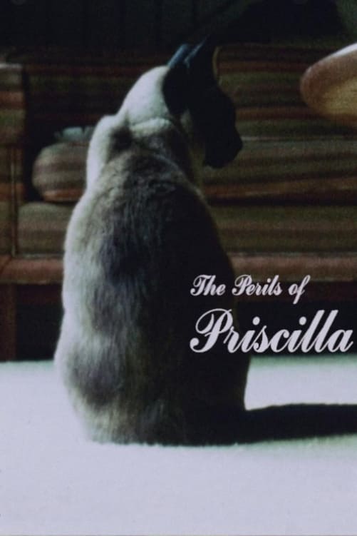 The Perils of Priscilla