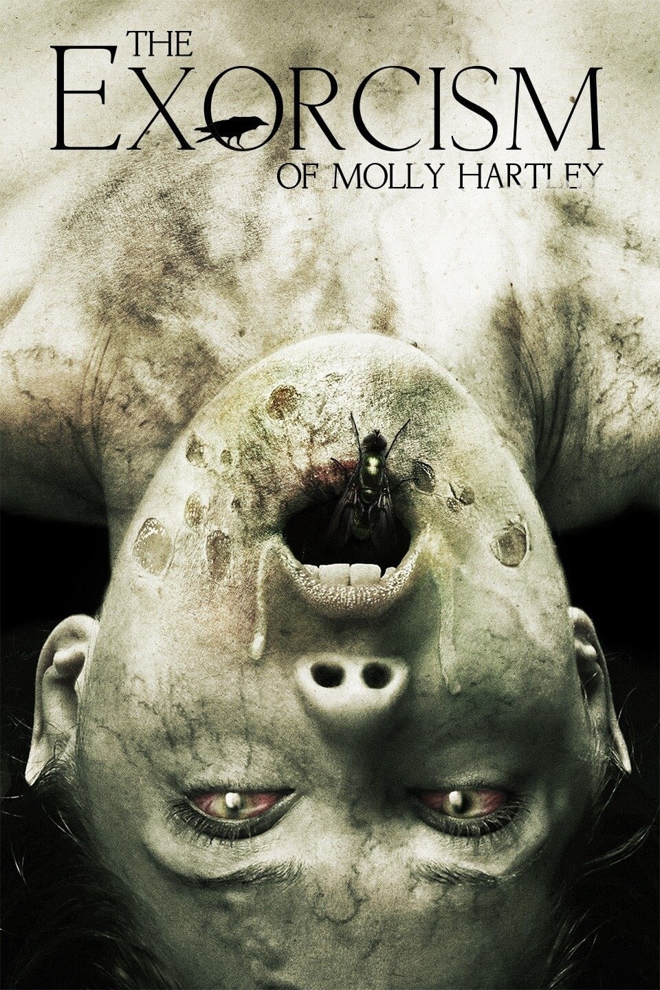 El exorcismo de Molly Hartley