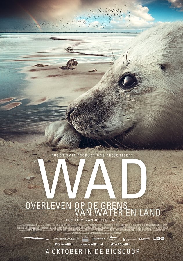Wad: surviving on the border of water and land