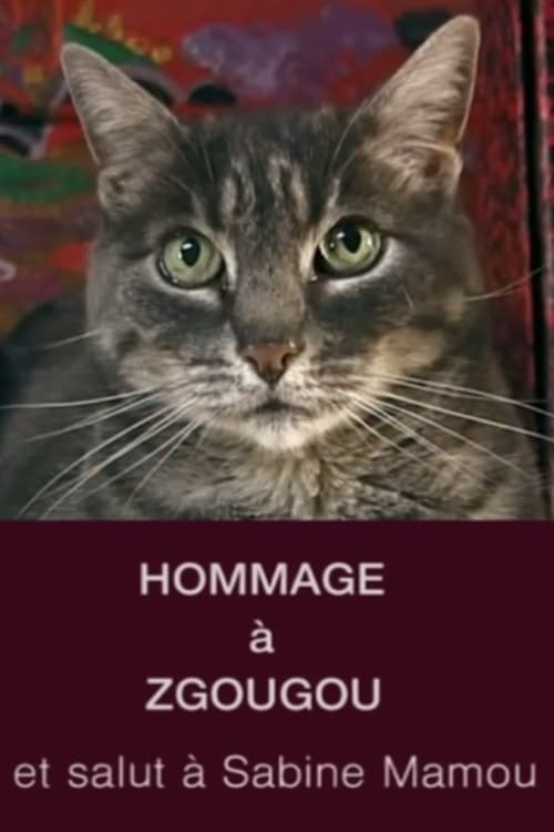 Tribute to Zgougou the Cat