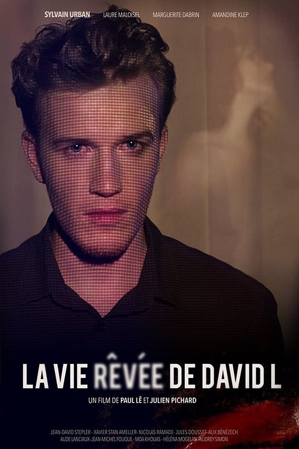 The Dreamlife of David L (2014)