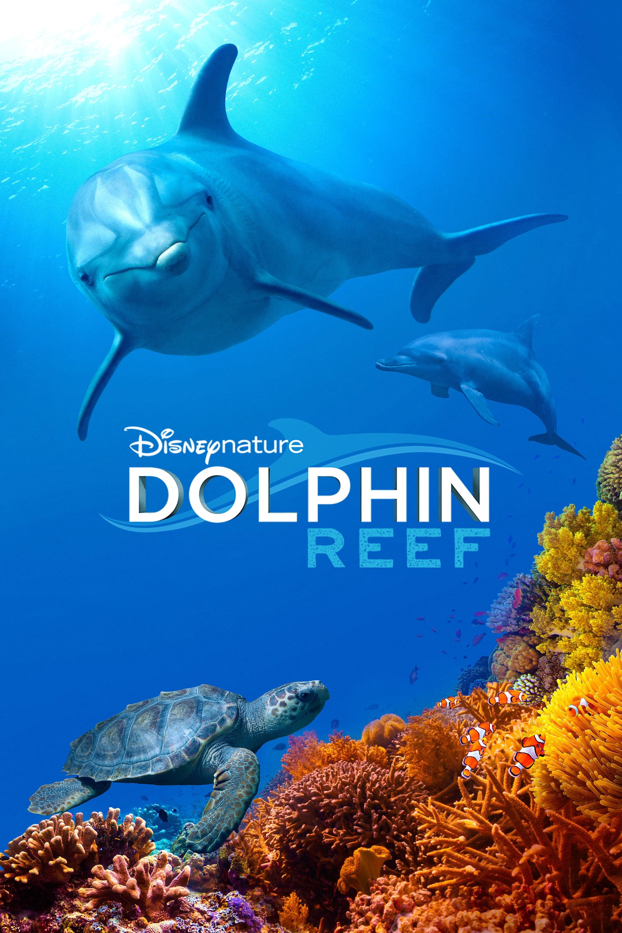 Dolphin Reef (2018)